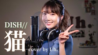 【女性が歌う】 猫 - DISH// cover by Uh.