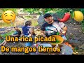 Hacemos una picada de mangos con sal y chile El Salvador UHD