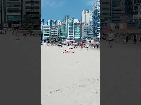 폭염속 비키니 광안리 부산 토요일 Gwangalli Beach Busan Korea 広安里 بوسان Coréa क र य пусан корея เกาหล Corée 