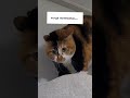 Когда напряжения и эмоций слишком много #стресс #любовьксебе