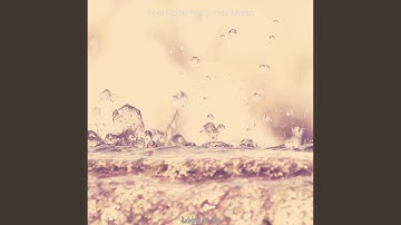 Swanky Backdrops for Rainy Days