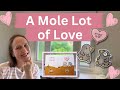 Cute Valentine’s Day Card 💕 Lawn Fawn “A Mole Lot of Love” Card Tutorial