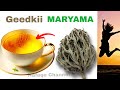 Waxtarka Geedka Kafu Maryama 10 Faaiido Mucjisa Waxtarka Geedka Kafu Maryama 10 Faaiido Mucjisa