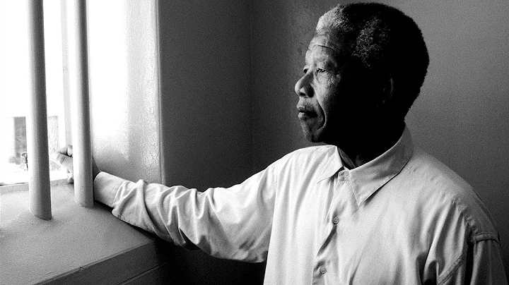 Filmmaker Danny Schechter: The Anti-Apartheid Move...