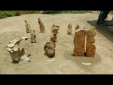 Video phiên trưa 23/8/2022 gỗ lũa dổi vàng ghép lan, gỗ lũa... - youtube