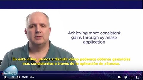 ESBTL 3   ESP Achieving consistent gains through xylanase application in swine