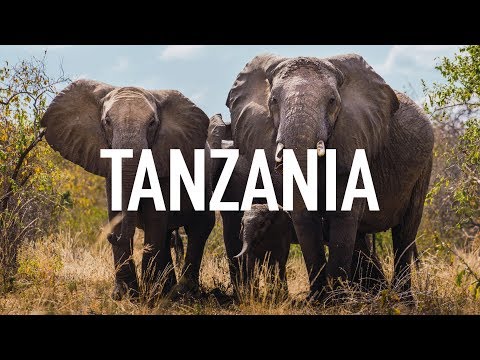 viaje a tanzania