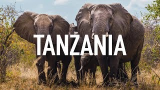 Un mes de viaje en TANZANIA  Ruta y consejos de viaje: Qué ver en un mes en Tanzania