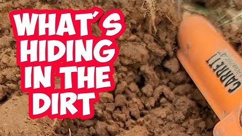 Tragic Permission Amazing Bucket List Find Metal Detecting