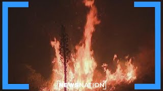 Thousands evacuating after Calif.,Nevada wildfires | NewsNation Now