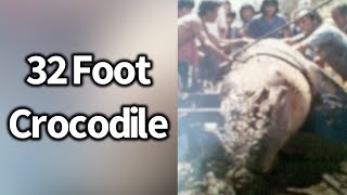 32 Foot Crocodile Caught in Mackay