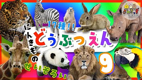 動物園へ行こう