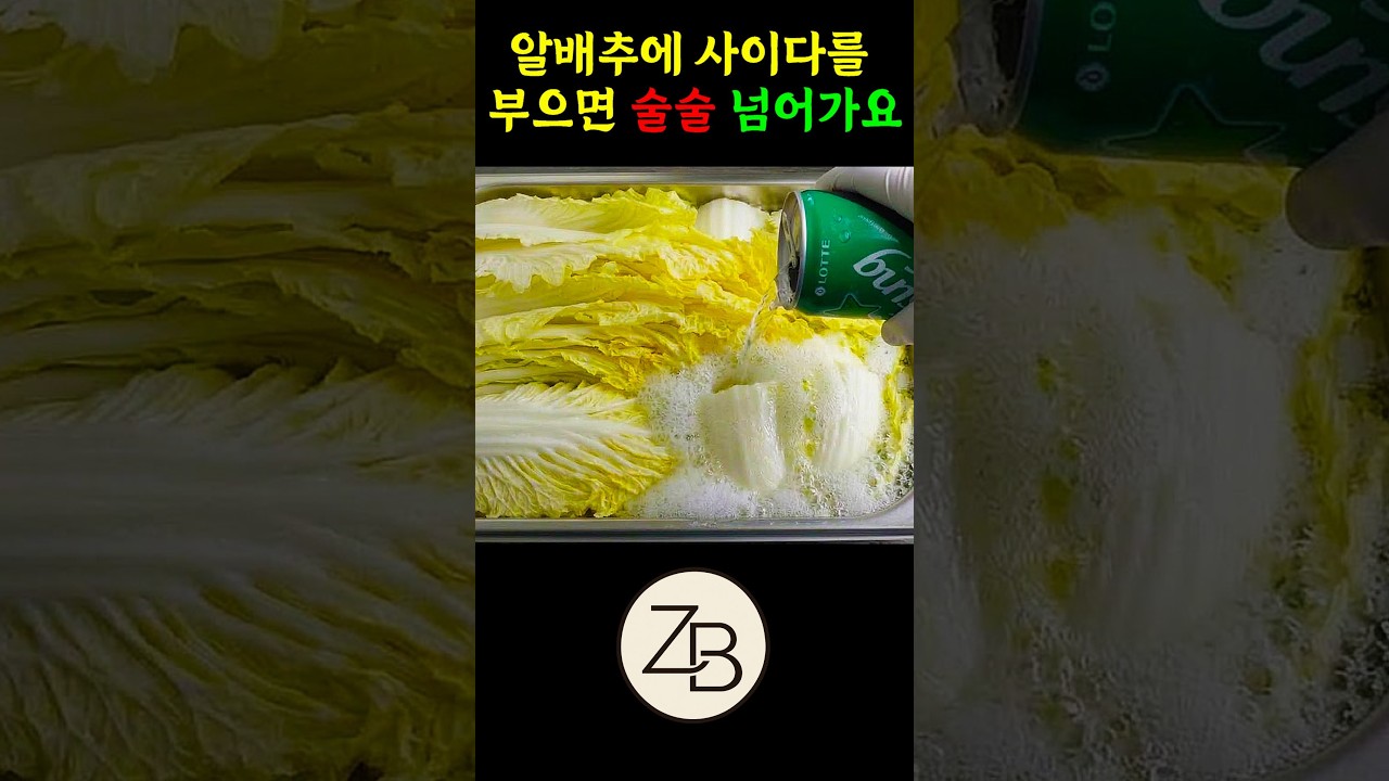 10분이면 끝! 알배추에 사이다를 부으면 한달내내 먹어도 질리지 않아요