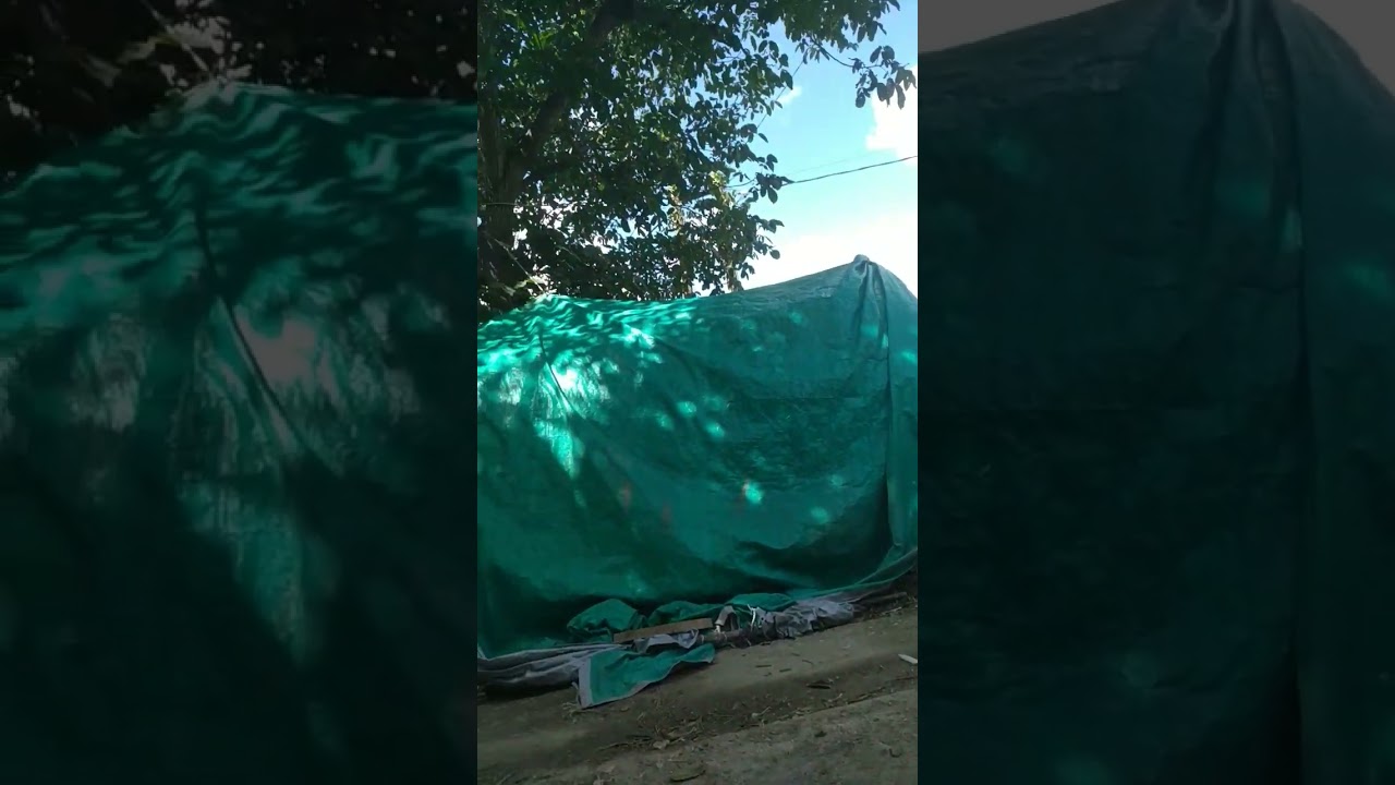 9 августа 2022 г.