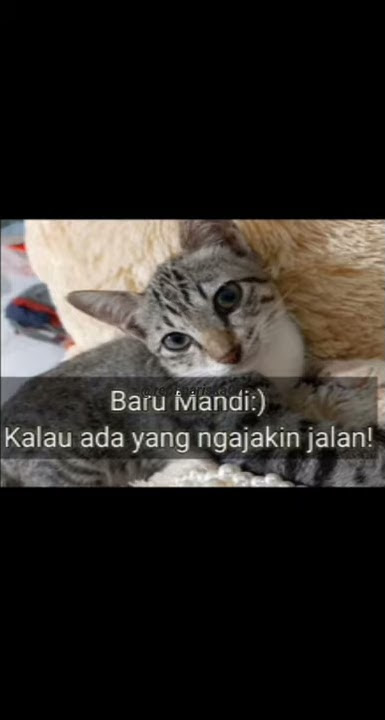 SNap WA|| kaum rebahan:)