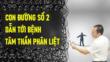 Con Đường Số 2 Của Bệnh Tâm Thần Phân Liệt – Dopamine Hypothesis – Phần 2