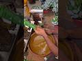 How Mehndi is Made in Factory? 🤯🌿 | Amazing Process