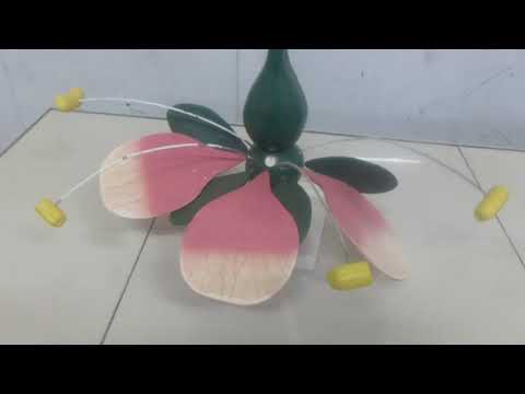 مكونات الزهرة التكاثر عند النباتات الزهرية