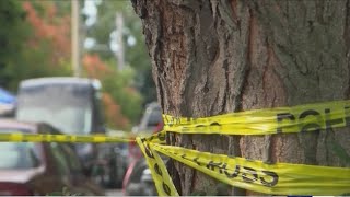 Wayne County DA appointed special prosecutor in Irondequoit family murder case