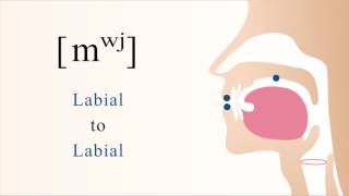 [ mʷʲ ] voiced unaspirated labialized palatalized bilabial nasal stop