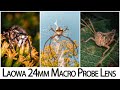 Laowa 24mm f14 Probe - Macro Photography Lens Review