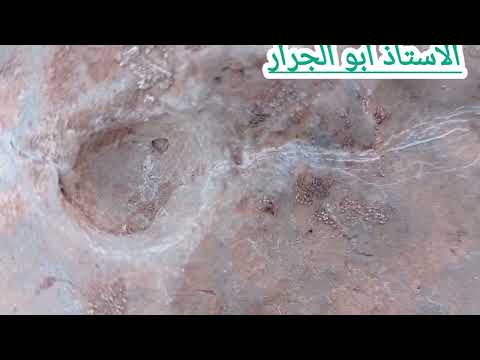 قراءة والتحليل الاشارات فن من الاستاذ ابو الجرار ليس كلام ومسك السكينة في الميدان