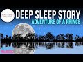 Adventure of a Prince 😴 Long Bedtime Story for Grown Ups With Music 💤