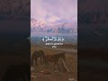 وعسى أن تكرهو شيئا وهو خير لكم سورة البقرة الشيخ ياسر الدوسري وعسى أن تكرهو شيئا وهو خير لكم سورة البقرة الشيخ ياسر الدوسري