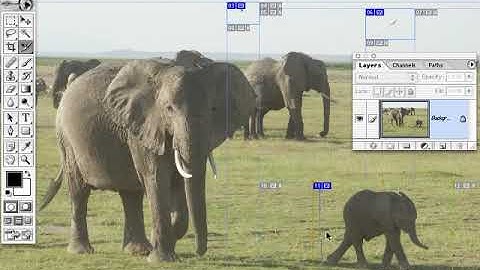 Photoshop 7 Tutorial - Slice Tool