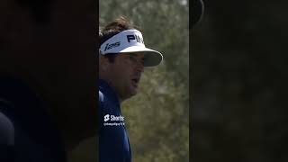 Bubba Watson almost hits his wife with stray golf shot #shorts #golf #swing #viral #funny Details