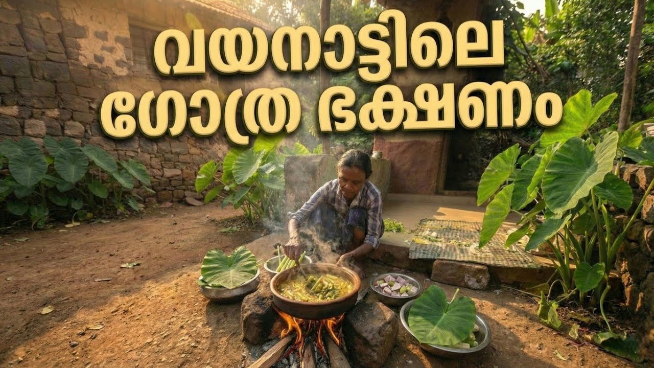 നഗരക്കാർ കണ്ടിട്ടില്ലാത്ത രുചി | പണിയ ഗോത്രത്തിന്റെ ചേമ്പ് കറി 