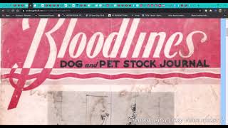 Camelot Rednose Pitbulls 75 Years Of Apbt History