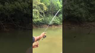 chuột lk phiên bản mini nhạy thật lkhòa fishing xuhuong