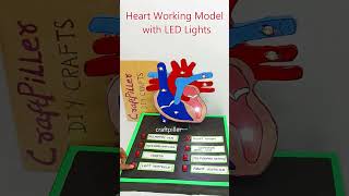 human heart working model with led lights -  science project - shorts - craftpiller