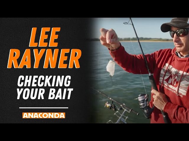 Checking your bait, Lee Rayner Fishing Tips