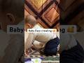 Hard floor पर भी अब baby easily करेगी crawled #babycare #crawled #crawling #kneepaid