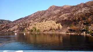 EL INCENDIO DE O PINDO