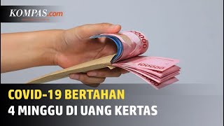 Virus Corona Bisa Bertahan di Uang Kertas hingga 4 Minggu?