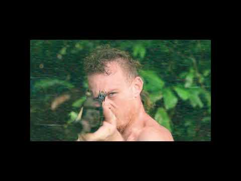 Vidéo: Chef-d'œuvre De Béton Dans La Jungle