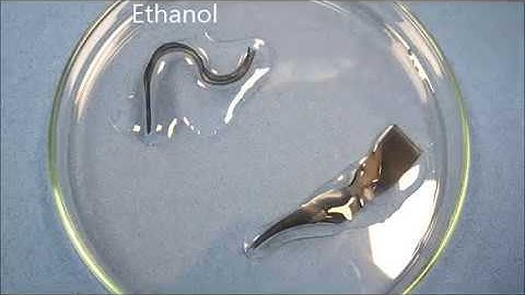 Chemo-responsive shape memory phenomenon in rubber-like shape memory membrane