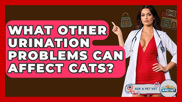 What Other Urination Problems Can Affect Cats? - Ask A Pet Vet