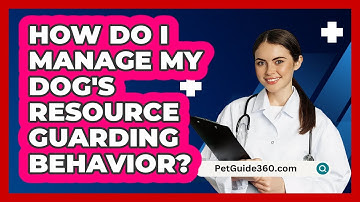 How Do I Manage My Dog