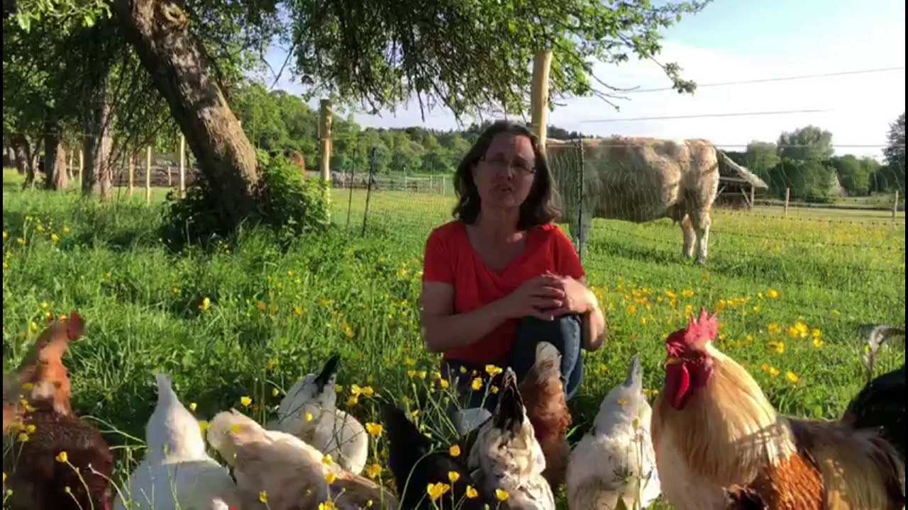Andrea Göhring Bauernhoftiere - YouTube
