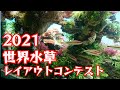 No.145【IAPLC2021】世界水草レイアウトコンテスト2021応募作品