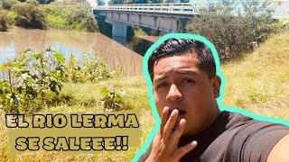 Así se encuentra el Río Lerma de La Barca Jalisco 2021¿Casi se desborda? ????