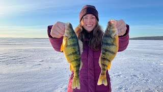 JUMBO Perch Catch and Cook (UNREAL Day Ice Fishing)