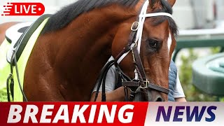 Upperville Creates $25,000 Derby JUST for Thoroughbreds (Game Changer)। USA NEWS TODAY