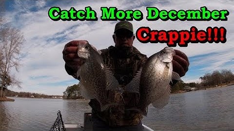 How to catch crappie in December tips location and lures/Vertical jigging for December crappie