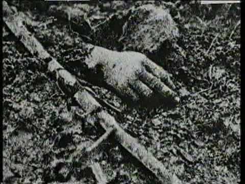 SnakeSkin - Stone Cold Hands