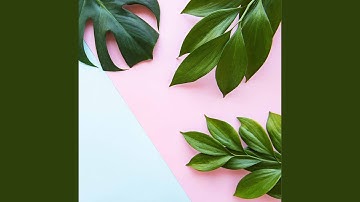 Sublime Fresh Iced Latte